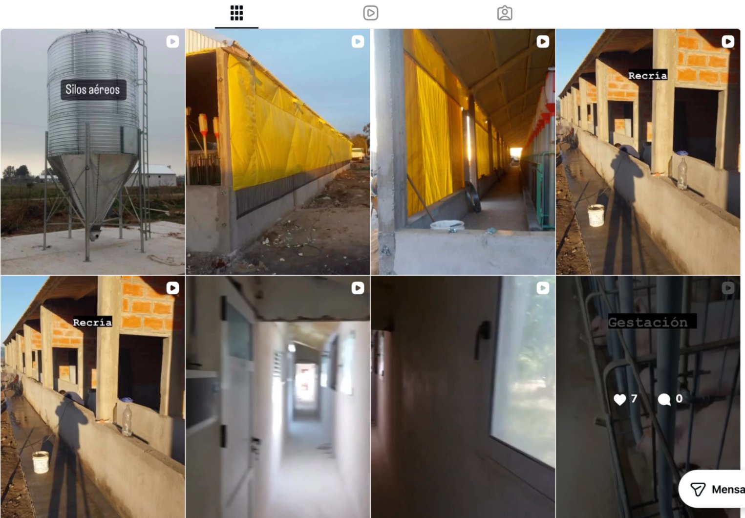 Publicaciones anteriores de AllPork, principalmente videos de instalaciones y equipamiento