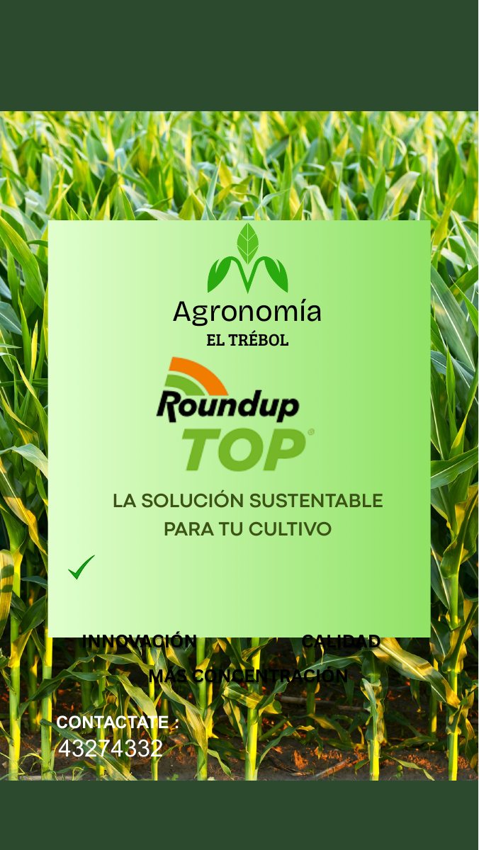 Diseño inicial conceptual de una publicación de Agronomía El Trébol sobre Roundup TOP, con elementos y textos superpuestos sobre un cultivo